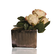 Silver Roses